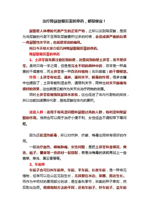治疗降尿酸最厉害的草药，都很便宜！