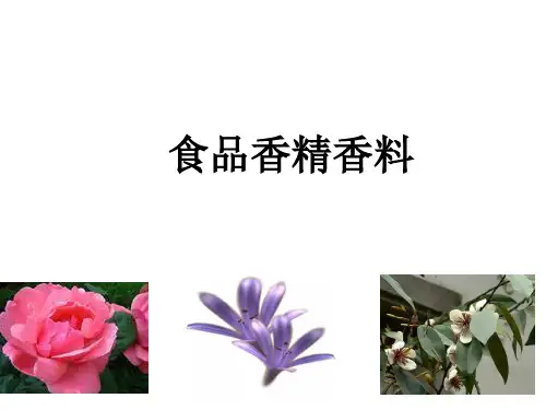 食品添加剂香精香料