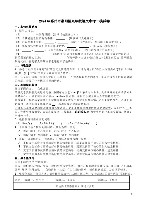 2024年惠州市惠阳区九年级语文中考一模试卷附答案解析