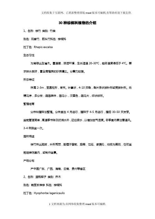 30种棕榈科植物简介