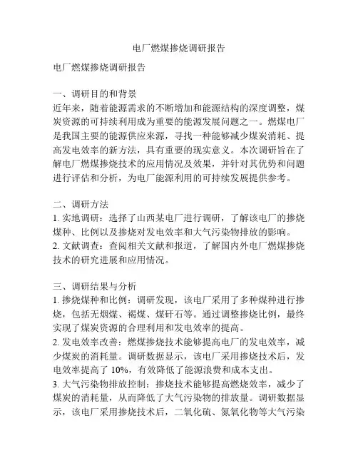 电厂燃煤掺烧调研报告