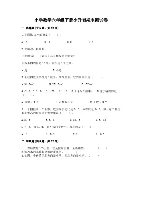 小学数学六年级下册小升初期末测试卷附答案(完整版)