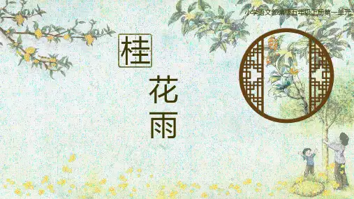 3 桂花雨课件(共14张PPT)