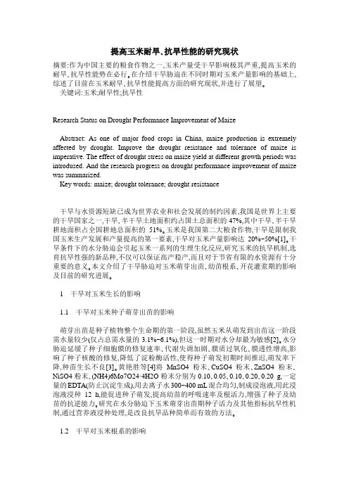 提高玉米耐旱、抗旱性能的研究现状