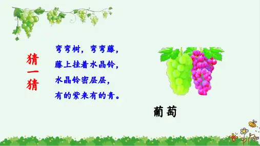 11 《葡萄沟》 教学课件 2024-2025学年部编版语文二年级上册