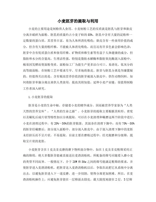小麦胚芽的提取与利用