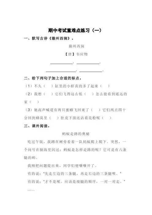 部编版小学语文三年级期中考试重难知识点专项练习(3份,附答案)