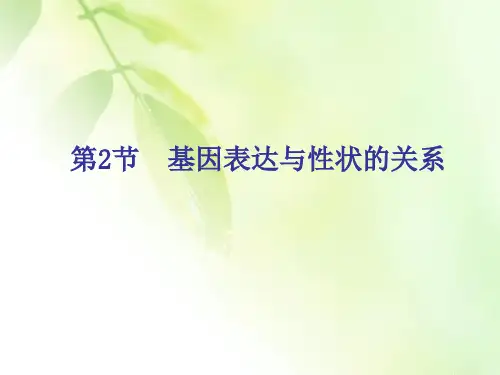 【精品推荐】(新教材)2019-2020新课程同步人教版高中生物必修二新学案课件：第4章 第2节 基因表达与性状