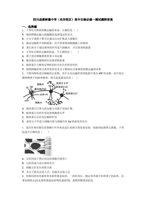 四川成都树德中学(光华校区)高中生物必修一测试题附答案