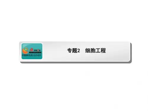 高考生物(人教版)一轮复习课件：选修3.2 专题2 细胞工程
