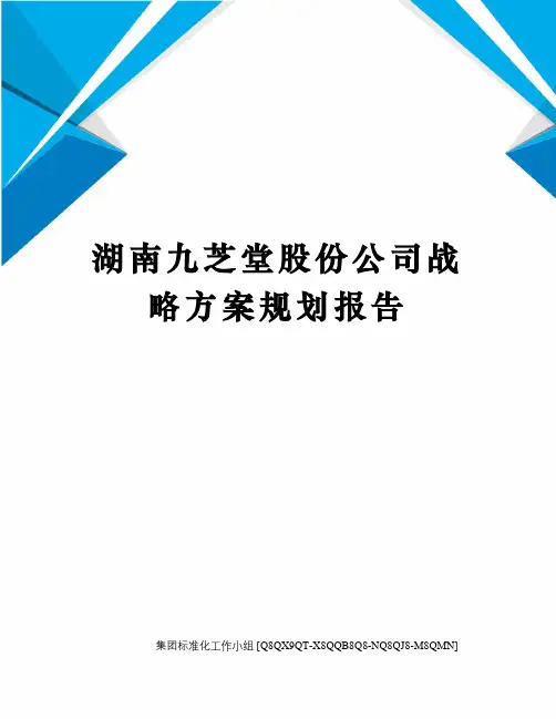 湖南九芝堂股份公司战略方案规划报告修订稿