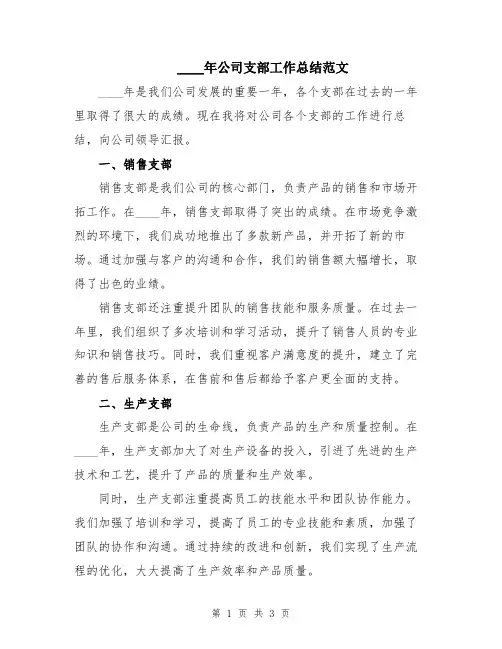 2024年公司支部工作总结范文