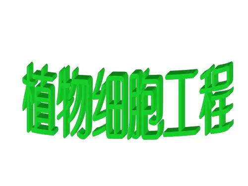 人教版高中生物选修3专题二2.1.1 植物细胞工程的基本技术 课件(共28张PPT)