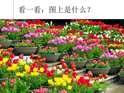 幼儿早教：认识颜色和形状