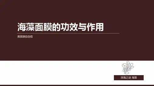 海藻面膜的功效与作用概诉