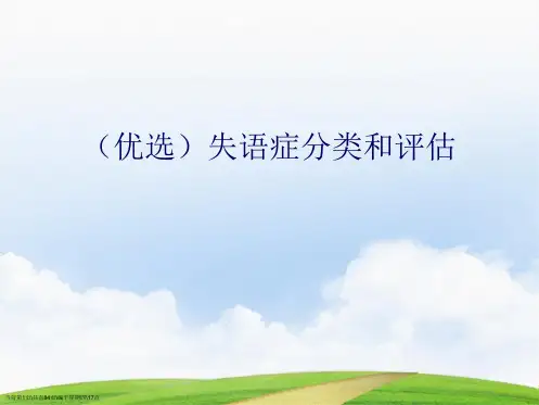失语症分类和评估演示