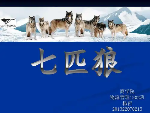 七匹狼深度分析