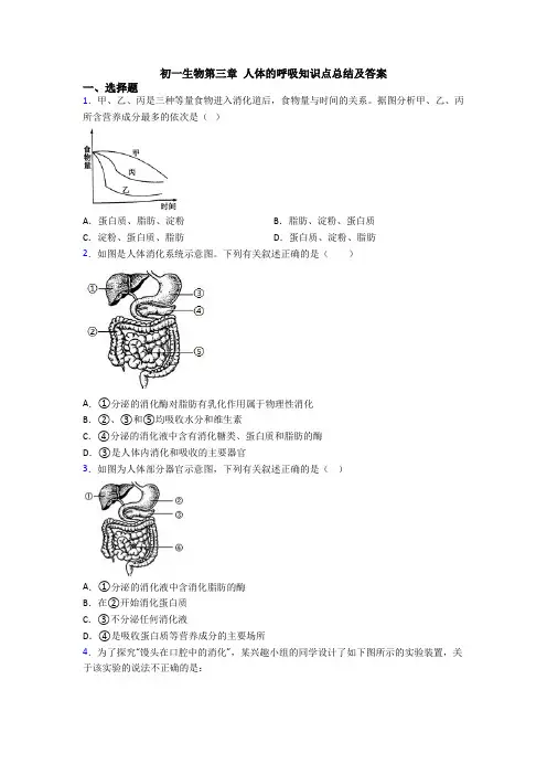 初一生物第三章 人体的呼吸知识点总结及答案