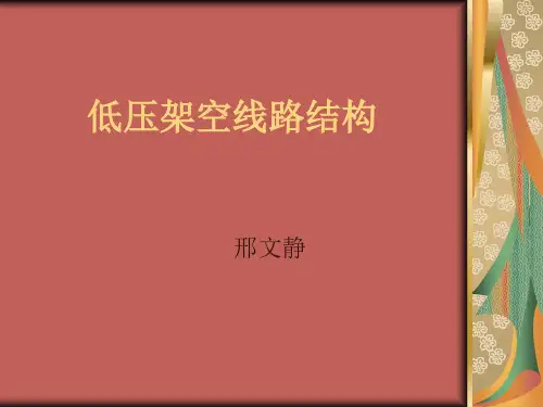 低压架空线路结构.46页PPT文档