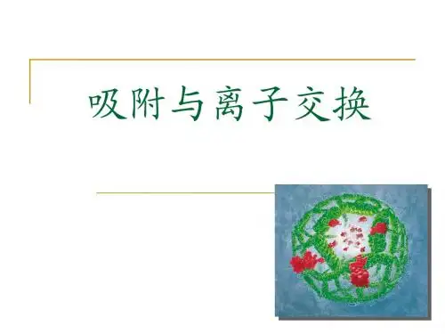 吸附-课件