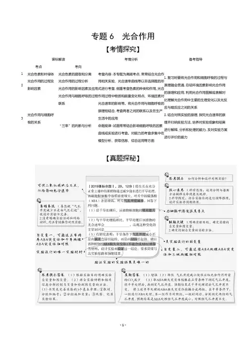 2021高考生物山东版一轮复习精炼：专题6 光合作用