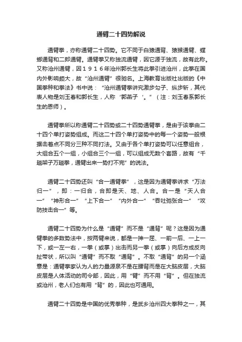 通臂二十四势解说