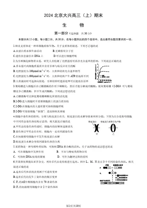 2024北京大兴区高三(上)期末生物试题及答案