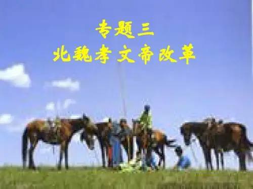 北魏孝文帝改革[课件2][人民版