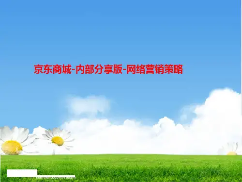 网络营销策略(ppt 68页)