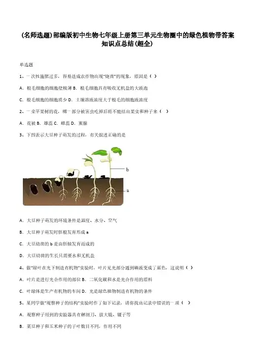 部编版初中生物七年级上册第三单元生物圈中的绿色植物带答案知识点总结(超全)