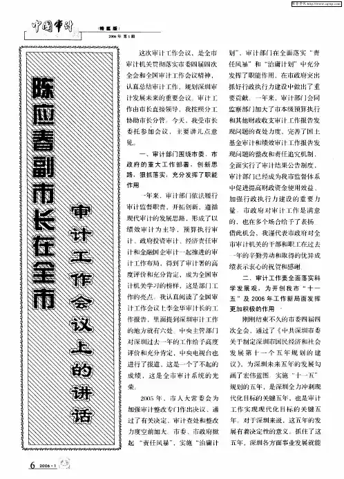 陈应春副市长在全市审计工作会议上工作报告的讲话