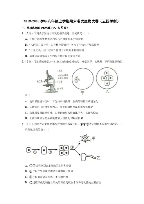 2019-2020学年八年级上学期期末考试生物试卷(五四学制)含答案