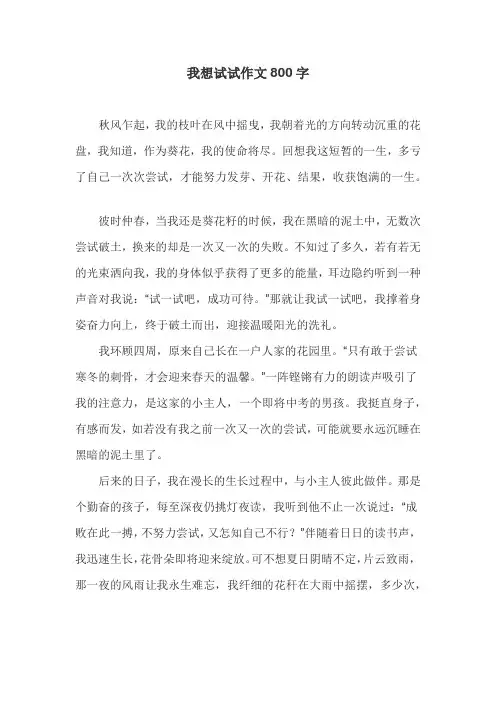 我想试试作文800字