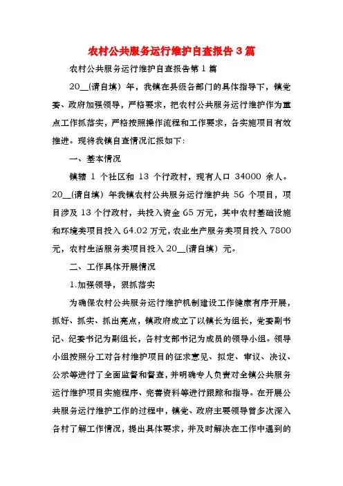 农村公共服务运行维护自查报告3篇