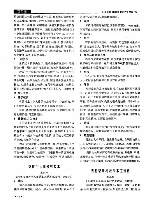 梨树生长期修剪技术