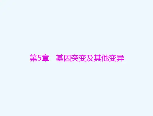 2022届高考生物一轮复习第5章基因突变及其他变异第1节基因突变和基因重组课件必修2