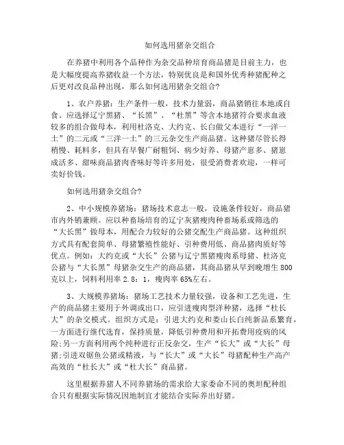 如何选用猪杂交组合