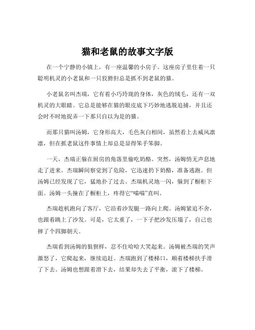 猫和老鼠的故事文字版