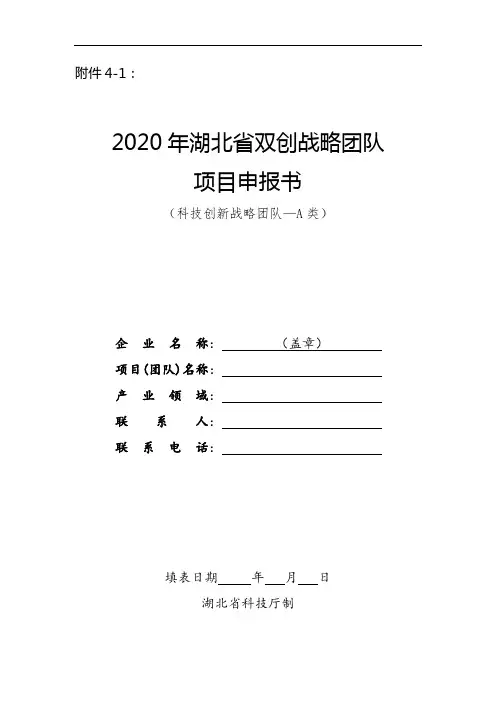 2020年湖北省双创战略团队项目申报书及附件材料说明(科技创新战略团队--A类)