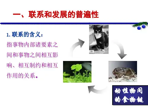 事物的普遍联系与发展