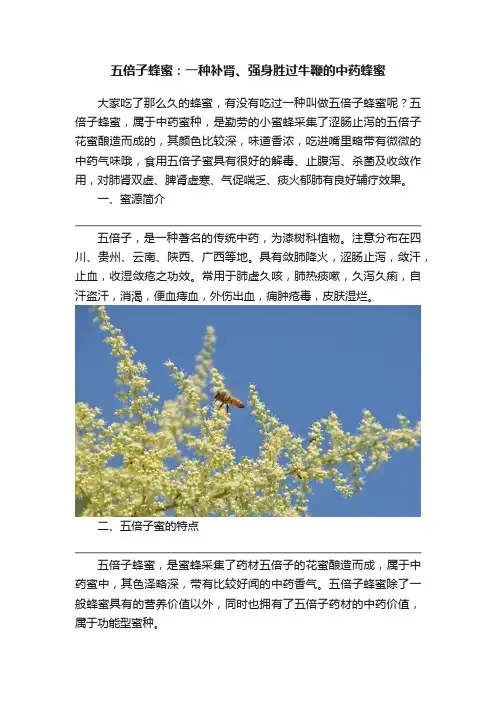 五倍子蜂蜜：一种补肾、强身胜过牛鞭的中药蜂蜜