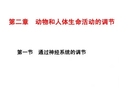 《通过神经系统的调节》1
