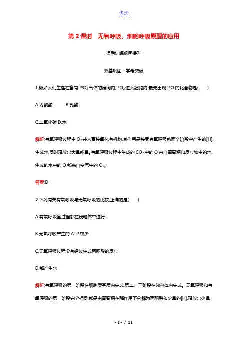2021_2022学年新教材高中生物第5章细胞的能量供应和利用第3节第2课时无氧呼吸细胞呼吸原理的应