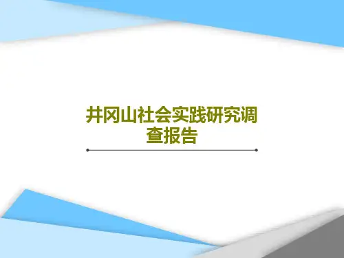 井冈山社会实践研究调查报告PPT文档21页