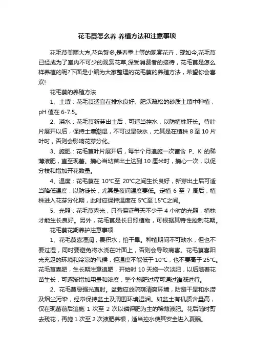 花毛茛怎么养养植方法和注意事项