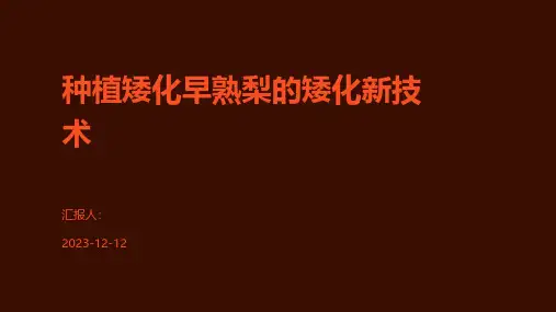 种植矮化早熟梨的矮化新技术