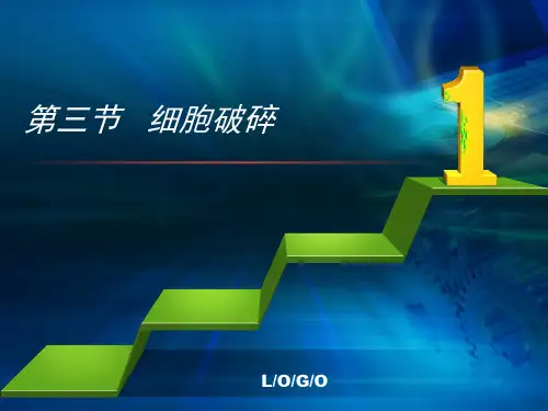 2.2 细胞破碎