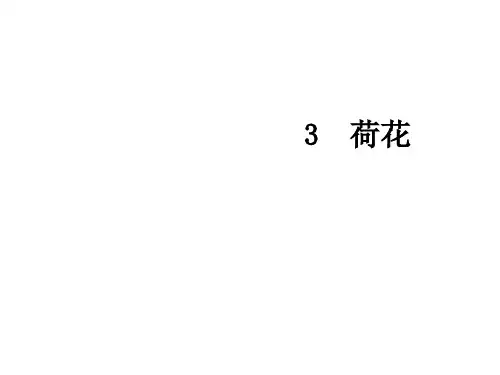 人教部编版语文《荷花》PPT优质课件1
