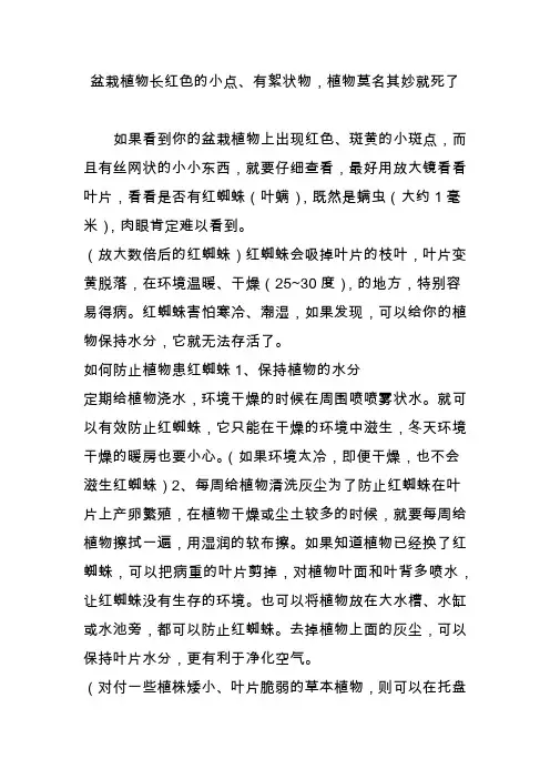 盆栽植物长红色的小点、有絮状物,植物莫名其妙就死了