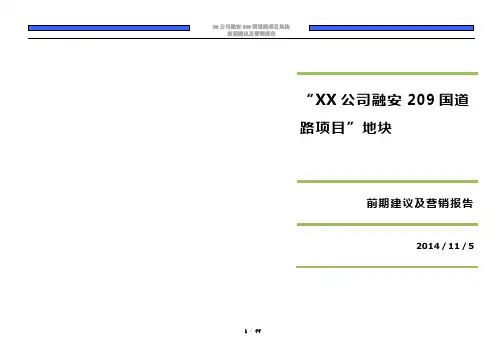项目营销报告(完整)